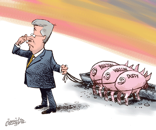 feb 23 cartoon