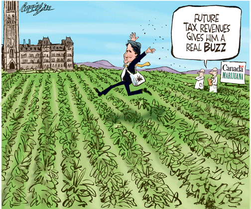 feb 23 cartoon