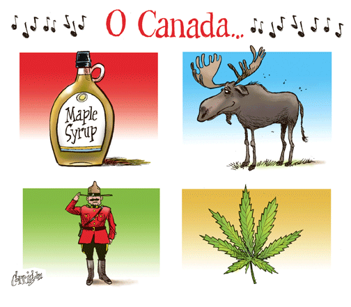 feb 23 cartoon