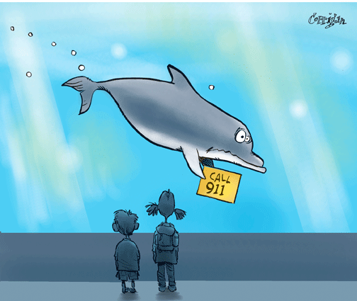 feb 23 cartoon