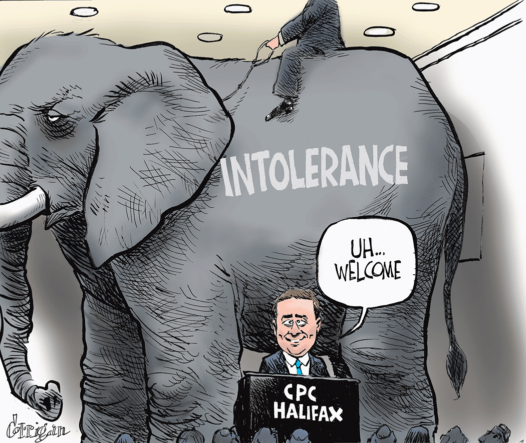 feb 23 cartoon