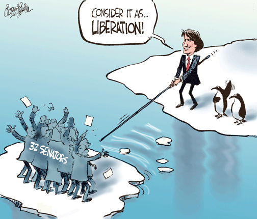 feb 23 cartoon