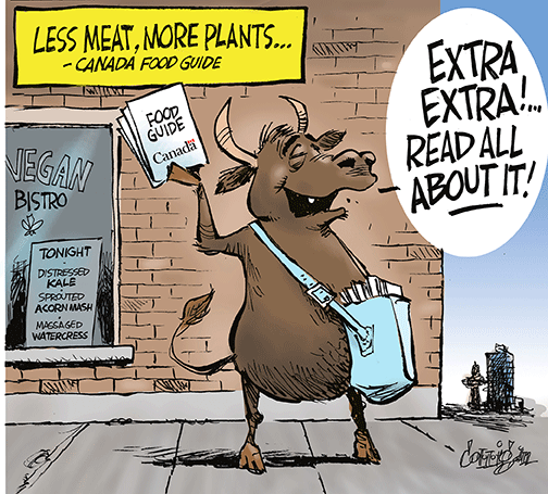 feb 23 cartoon
