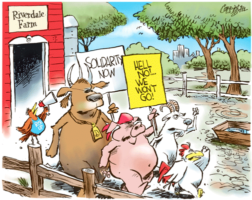 feb 23 cartoon