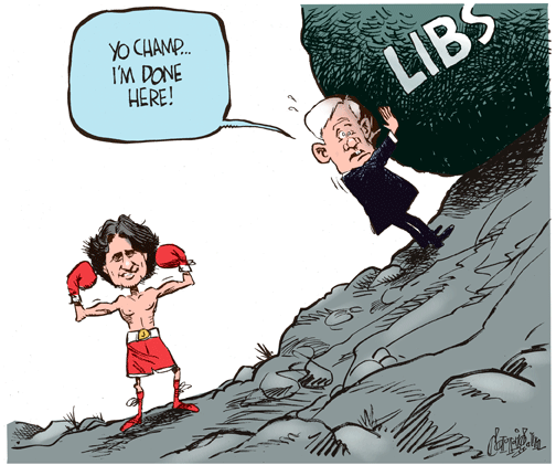 feb 23 cartoon
