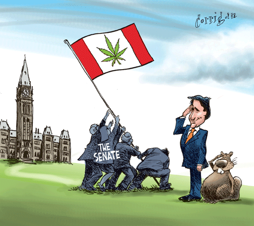 feb 23 cartoon