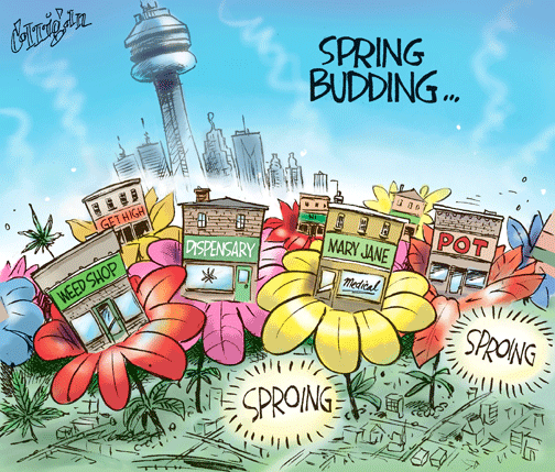 feb 23 cartoon