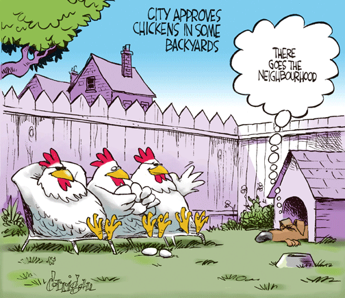 feb 23 cartoon