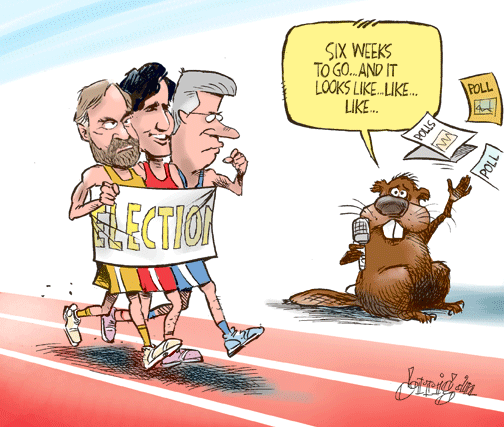 feb 23 cartoon
